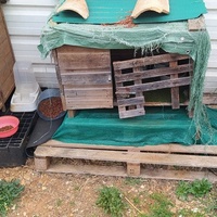 photo de livraison pour Une Maison pour la Vie