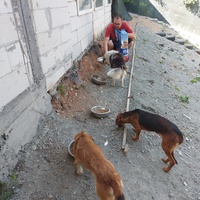 photo de livraison pour UZZŽ "Sretna Šapa"