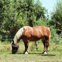 photo de livraison pour Faun'Ethic