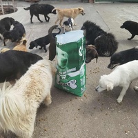 photo de livraison pour ПРИХВАТИЛИШТЕ ДРАЖЕВАЦ