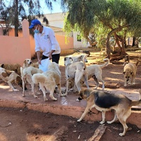 photo de livraison pour UMPA