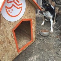 photo de livraison pour Save & Hope for Dogs