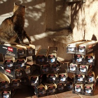 photo de livraison pour Protection Animale Berroise