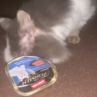 photo de livraison pour Des Poils et Des Plumes