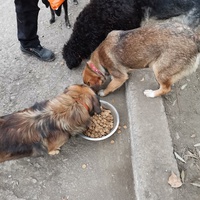 photo de livraison pour Asociația Hăpluț și prietenii