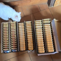 photo de livraison pour Amis de Myrtille