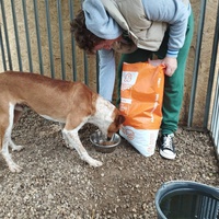 photo de livraison pour Innocente