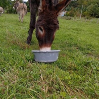 photo de livraison pour ADADA