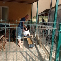 photo de livraison pour Društvo za zaštitu životinja "Bela"