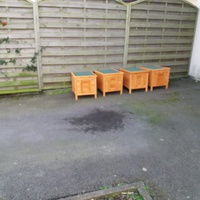 photo de livraison pour Les Chats'perlipopette Billy Berclausiens