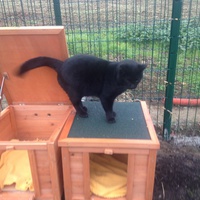 photo de livraison pour Les Petits Pachats