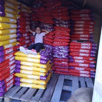 photo de livraison pour Antonia Save Animals