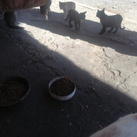 photo de livraison pour Hajar Aourz