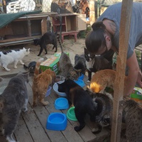 photo de livraison pour Chats Libres de Béziers