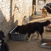 photo de livraison pour Azil Bella