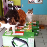 photo de livraison pour CAPPA