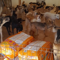 photo de livraison pour Sanctuaire de la Faune de Tanger (SFT)