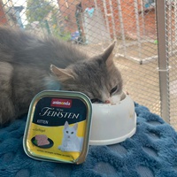 photo de livraison pour Au Bonheur Animal
