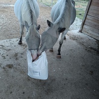 photo de livraison pour Refuge Cheval Nature En Aquitaine