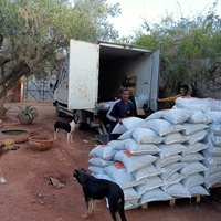 photo de livraison pour Help Adopt Moroccan Animals