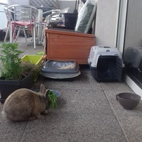 photo de livraison pour Les Fées AnimO
