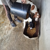 photo de livraison pour ПРИХВАТИЛИШТЕ ДРАЖЕВАЦ