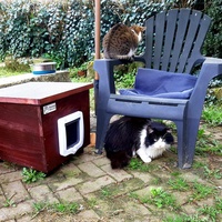 photo de livraison pour Cha'alors