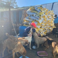 photo de livraison pour ADAN TETOUAN