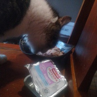 photo de livraison pour La Confrérie Des Ti'Vieux