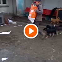 photo de livraison pour Associtia Axi Hope Romania
