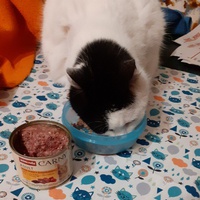 photo de livraison pour Main Alapatte