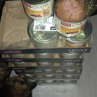 photo de livraison pour Hungry Cats14