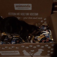 photo de livraison pour Les Chats de la Tour