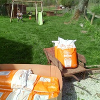 photo de livraison pour Chats errants du val du crenu