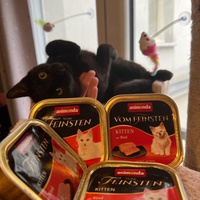 photo de livraison pour Les P’tits Bâtards