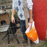 photo de livraison pour Innocente