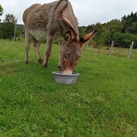 photo de livraison pour ADADA