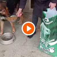 photo de livraison pour Udruženje za zaštitu životinja "Pongo"