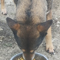 photo de livraison pour Svetlana Bjelogrlic