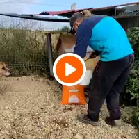photo de livraison pour Animal Shields Oradea