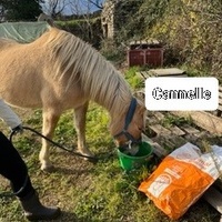 photo de livraison pour La Retraite des Chevaux des Causses