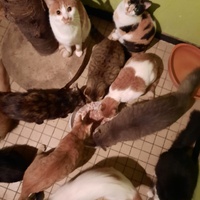 photo de livraison pour Capucine et Compagnie