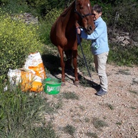 photo de livraison pour La Retraite des Chevaux des Causses