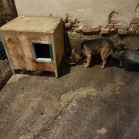 photo de livraison pour Ivana Nikolić
