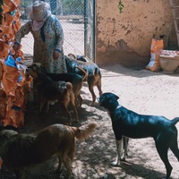 photo de livraison pour Help Adopt Moroccan Animals
