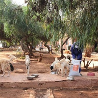 photo de livraison pour UMPA