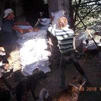 photo de livraison pour Pro Animals Finland ry