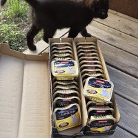 photo de livraison pour Bien vivre avec les Chats Sallélois