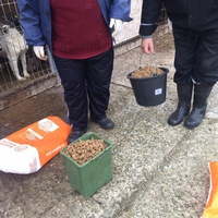 photo de livraison pour RespekTIERE Leben e.V.