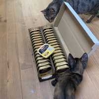 photo de livraison pour Les Chats de Condom 32